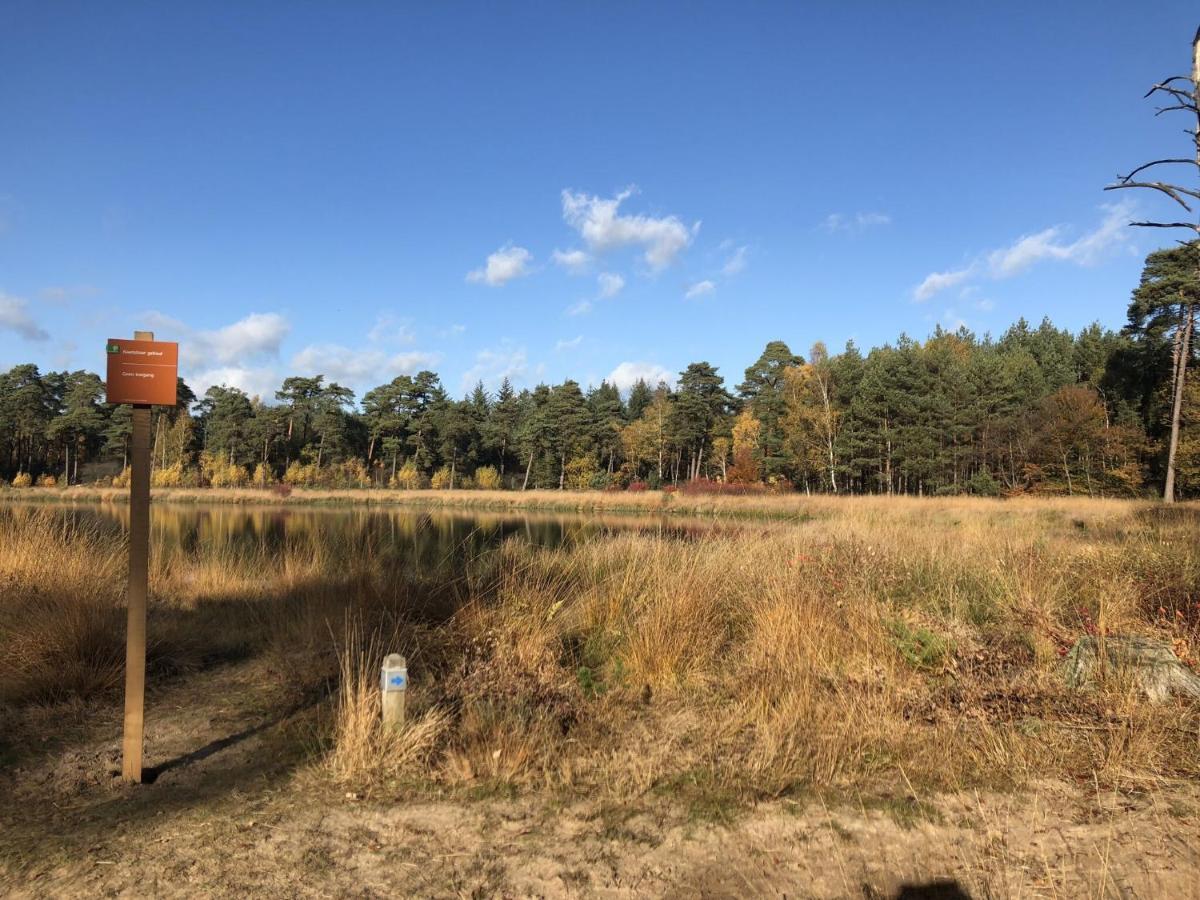 Villa On An Estate In Rheezerveen With Garden Экстерьер фото